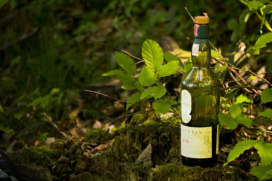 Vårens fem bästa skotska single malt whisky – av Alexander Wiberg